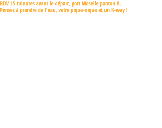 RDV 15 minutes avant le départ, port Moselle ponton A.  Pensez à prendre de l'eau, votre pique-nique et un K-way ! Située face à la côte de Païta et à 50mn de bateau environ. Cette île éloignée est agréable et accueillante de par sa végétation dense. Elle est en partie composée de roches, contrastant sa longue plage de sable blanc. 20mn de marche suffiront pour faire le tour de cette île paisible. L’île n’est pas aménagée de farés, ni de BBQ mais l’ombre y est facile à trouver. Côté lagon, une délicieuse balade en PMT vous attend le long du récif. Dans une ambiance colorée de mille poissons, aux abords de la lagune, raies et requins se mêlent au paysage sous-marin. Lîle Ronde ne fait pas partie du réseau d’AMP*. La faune et la flore restent perturbables et fragiles. Merci à vous de respecter les lieux. 